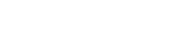 Networks Plus Logo